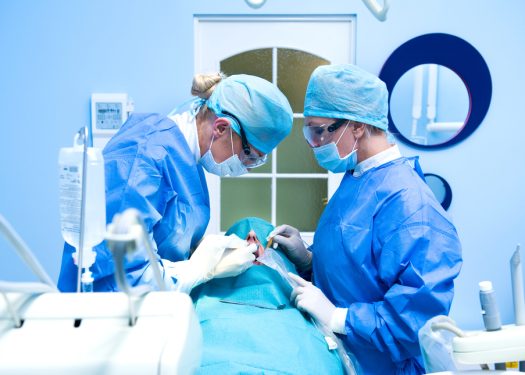 emergency dental care